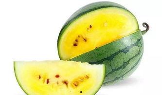 吃瓜娱乐素材哪里找,吃瓜娱乐素材的宝藏之地