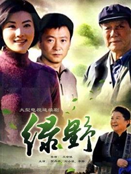 电视剧绿野在线观看,穿越时空的奇幻之旅